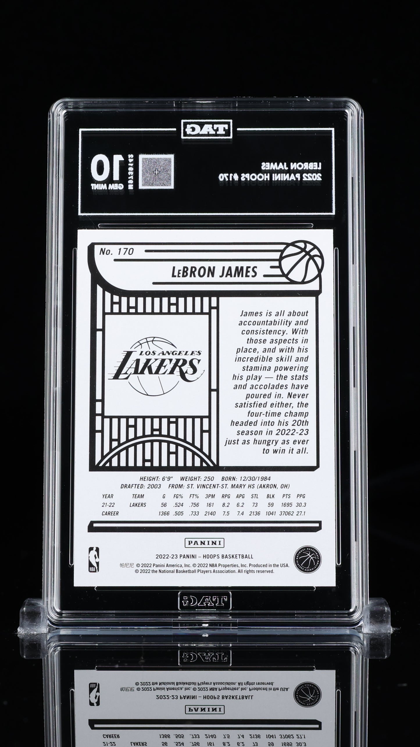 LeBron James Panini Hoops #170 TAG 10