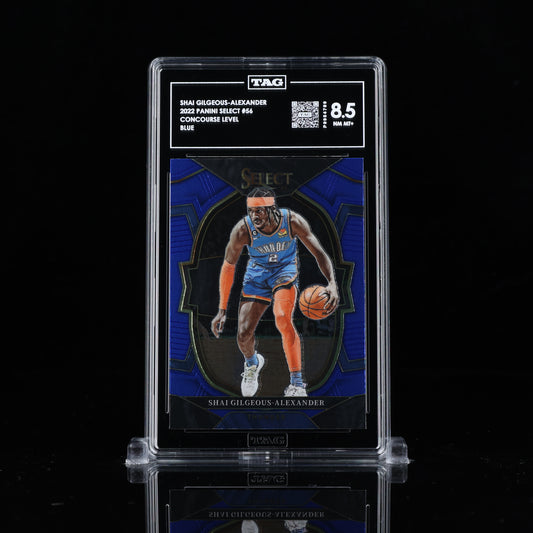 Shai Gilgeous Alexander 2022 Panini Select #56 Concourse Blue  TAG 8.5 new slab P9954789